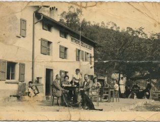 Darmingo01
